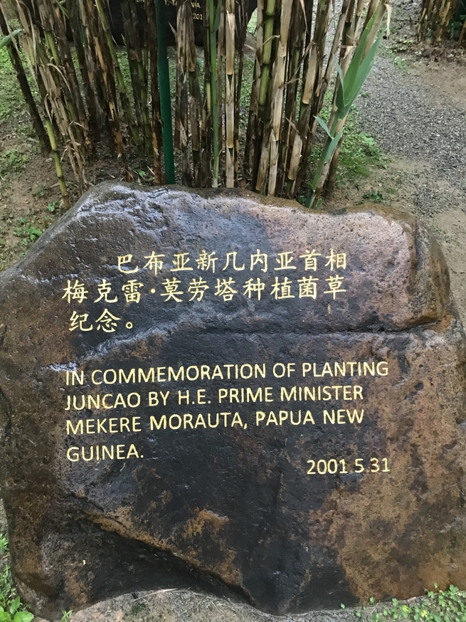 图片默认标题_fororder_G 图1