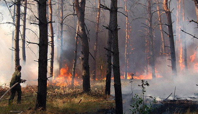 切爾諾貝利放射物因森林火災擴散 或影響農作物