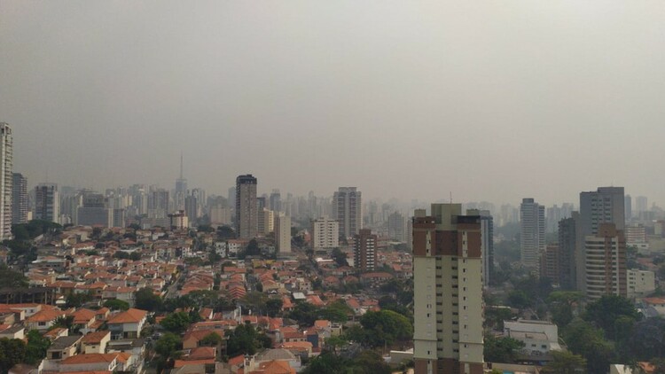 巴西潘塔纳尔湿地火灾严重 烟雾飘至圣保罗