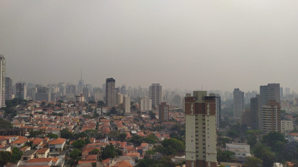 巴西潘塔纳尔湿地火灾严重 烟雾飘至圣保罗