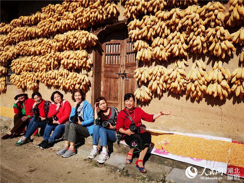 湖北宜昌马宗岭村玉米丰收 玉米“黄金屋”成当地美景