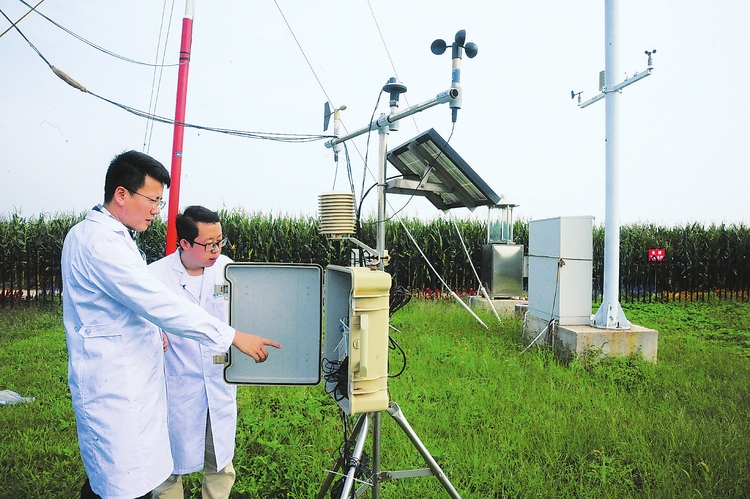 深耕幸福土地 共築美麗鄉村——梨樹縣推廣黑土地保護性耕作掠影