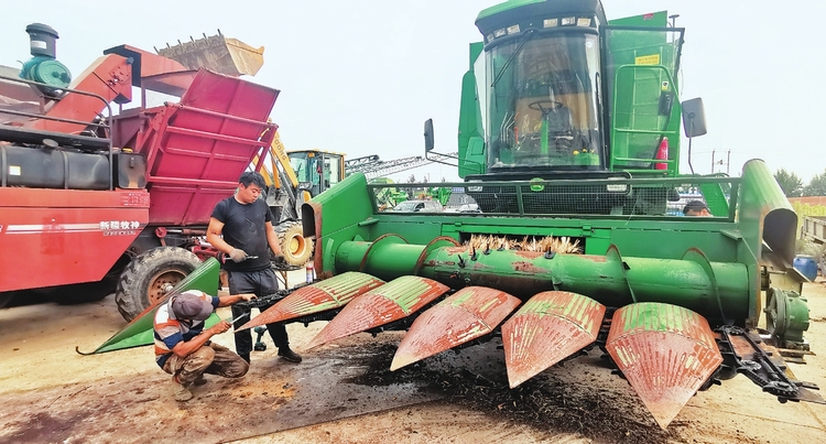 深耕幸福土地 共築美麗鄉村——梨樹縣推廣黑土地保護性耕作掠影