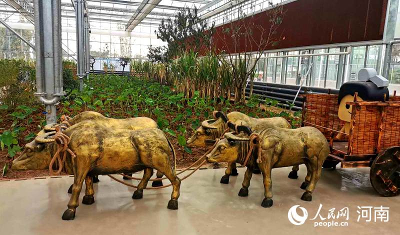 【城市远洋】2020年中国农民丰收节将在河南开封举行