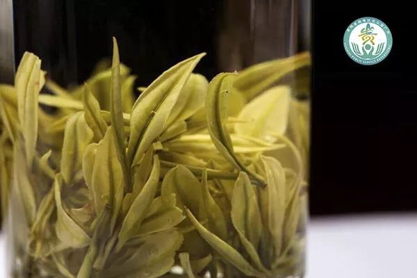 （網絡扶貧公益廣告稿件）産量全國第一的精品黔貨——貴州茶成為貴州重要名片
