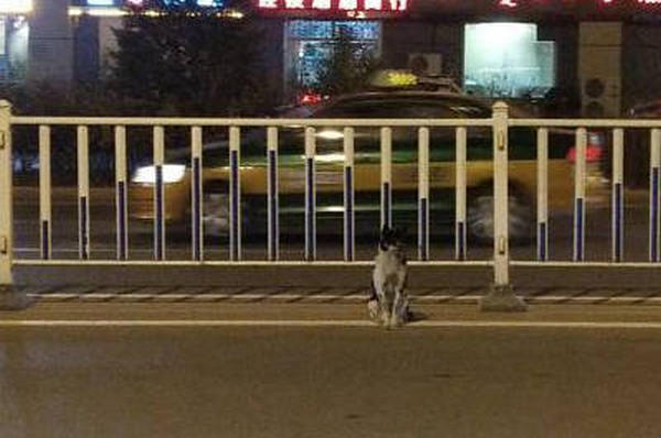 图片默认标题_fororder_1