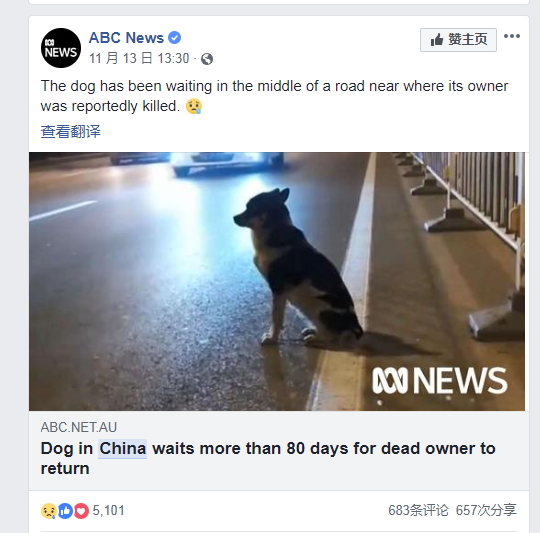 图片默认标题_fororder_2