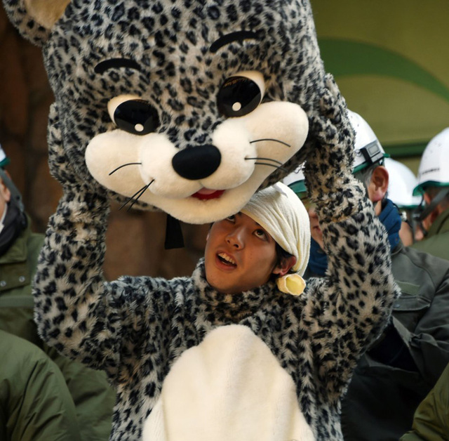 日本动物园举行动物逃逸应急演习 饲养员扮蠢萌雪豹