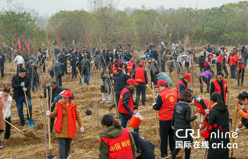 【河南在线-文字列表】【移动端-文字列表】鹤壁：“全域植绿，绿满鹤壁”国土绿化提速行动开始