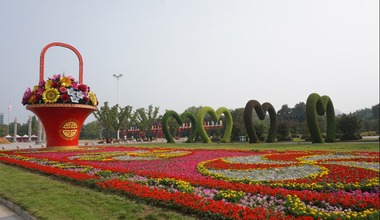 Blumen- und Baummesse Zentralchina 2020 in Xuchang eröffnet_fororder_5