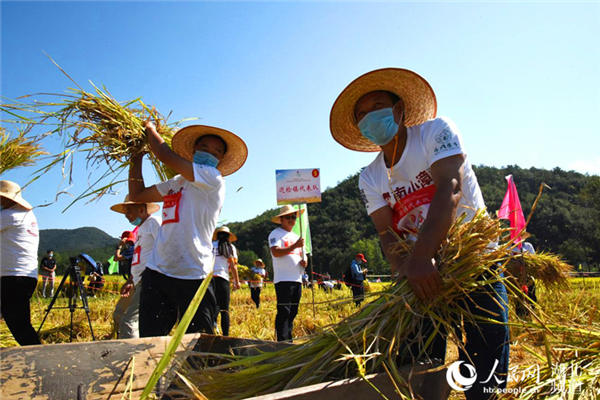 湖北南漳：慶豐收 賽農活 農民豐收節歡笑多