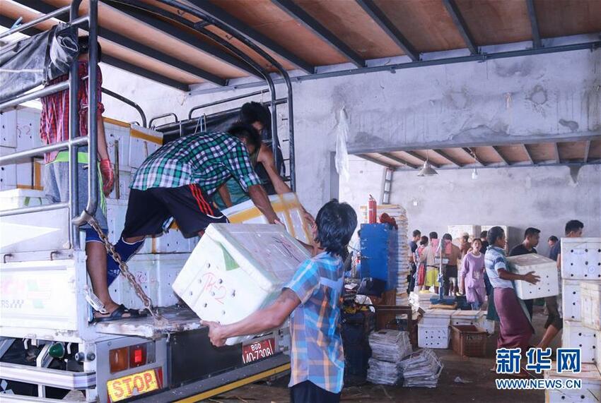 Kemenlu Tiongkok: Tiongkok dan ASEAN Berada di Barisan Depan Penanganan Wabah dan Pemulihan Pasca Wabah_fororder_zd5