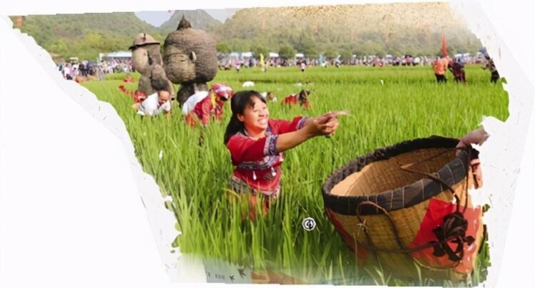 感黨恩 慶豐收 迎小康 ——桂林市舉辦中國農民豐收節系列活動掃描