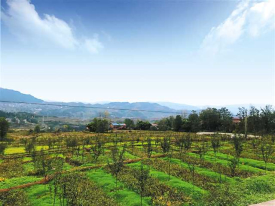 圖片默認標題 圖片默認標題_fororder_1