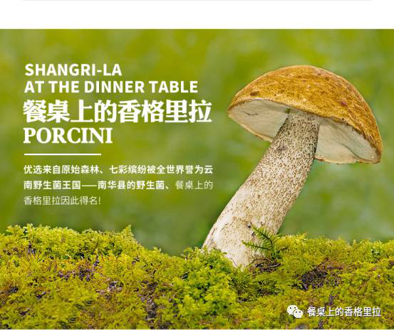 餐桌上的香格里拉受邀参加第十四届野生菌美食文化节