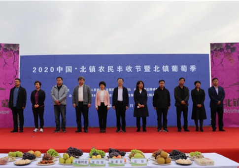 開創葡萄産業振興發展之路 2020中國•北鎮農民豐收節暨北鎮葡萄季活動舉辦