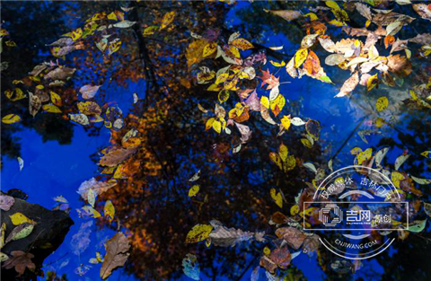 中国第一矿泉城 老百姓“喝出来”的幸福感