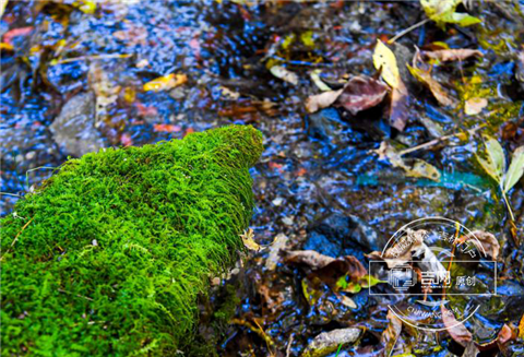 中国第一矿泉城 老百姓“喝出来”的幸福感