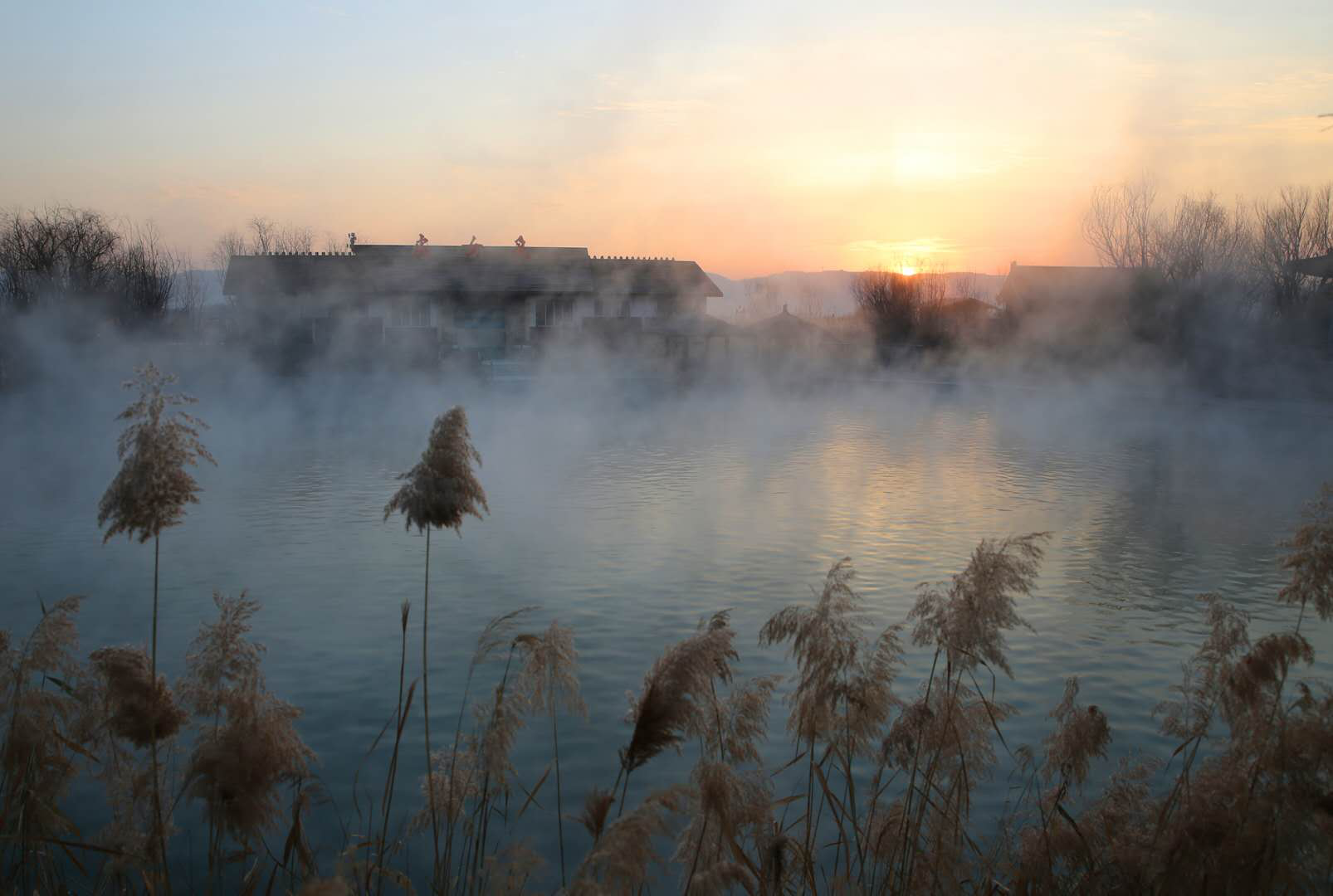 图片默认标题_fororder_图片20