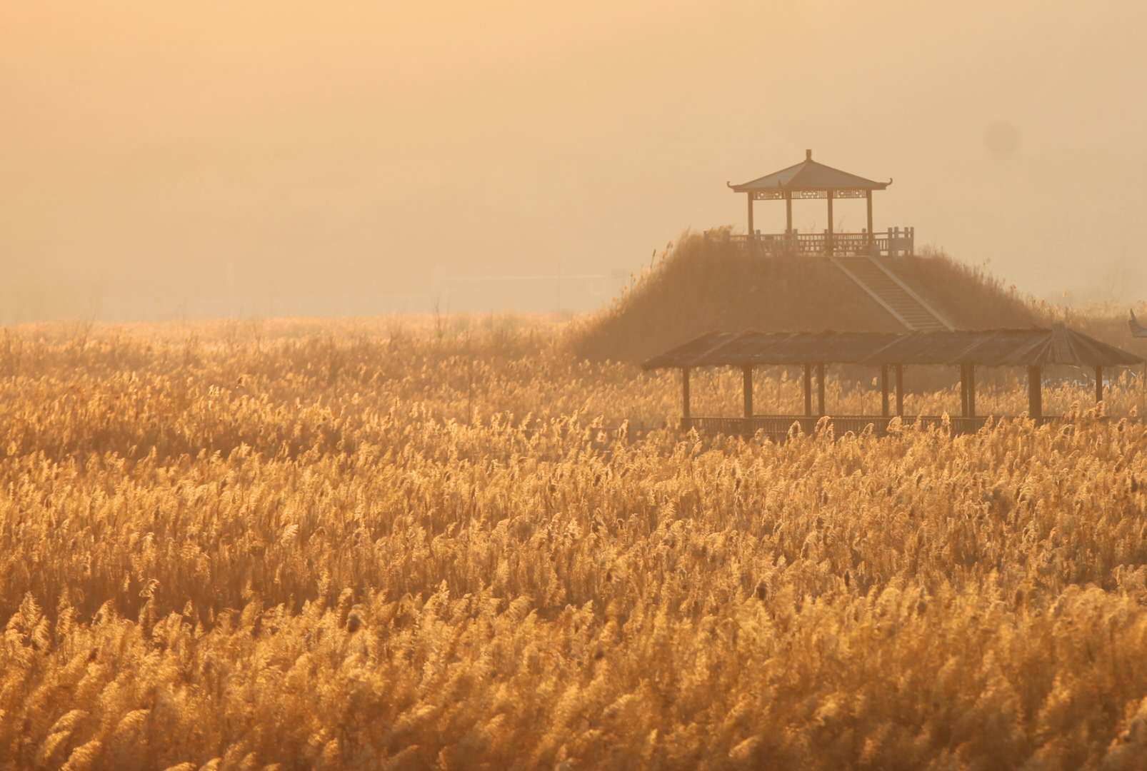 图片默认标题_fororder_图片19