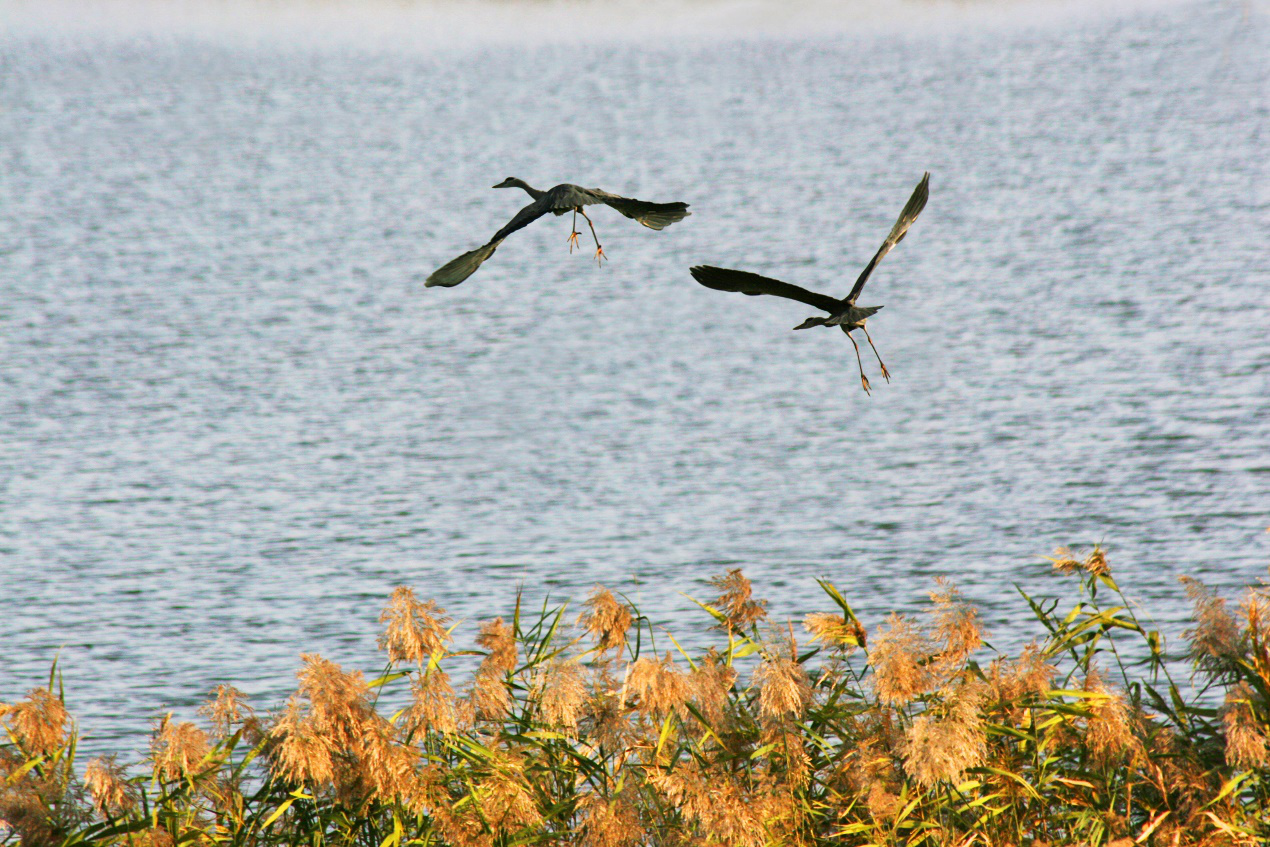 图片默认标题_fororder_图片18