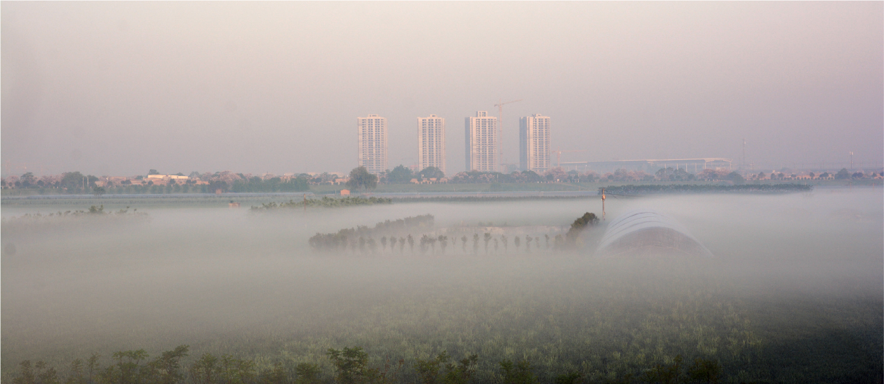 图片默认标题_fororder_图片30