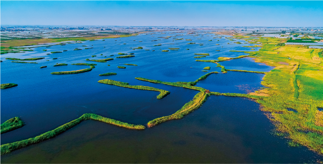 图片默认标题_fororder_图片29