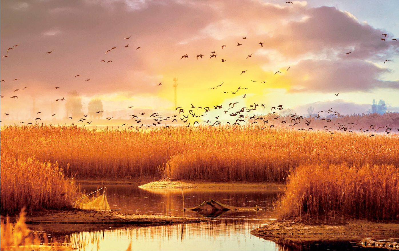 图片默认标题_fororder_图片27