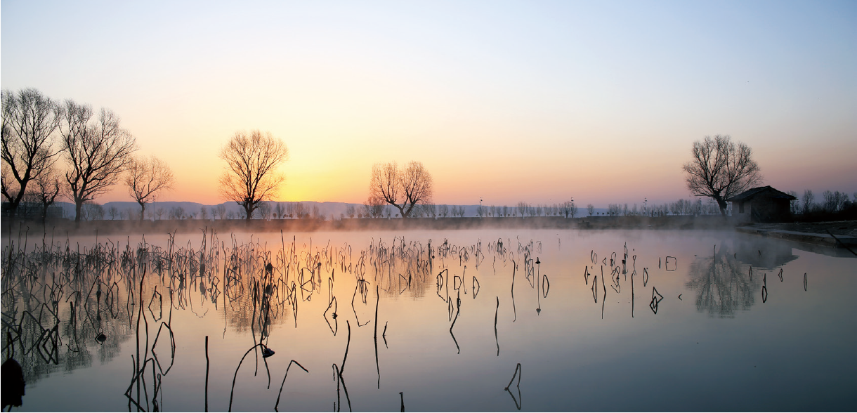 图片默认标题_fororder_图片25