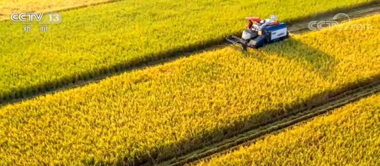 “中国农民丰收节”| 大江南北 红黄绿橙勾勒出最美丰收中国