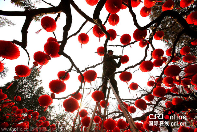 世界各地张灯结彩同庆中国传统春节