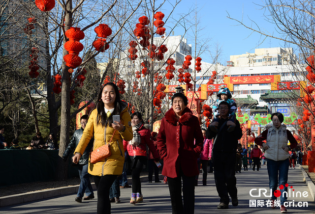 北京地坛庙会开门迎客 市民喜迎羊年新春