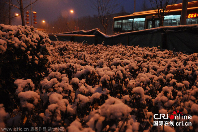 北京降下羊年首场雪