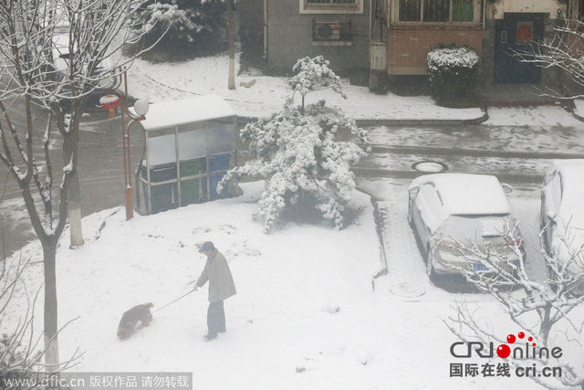 北京降下羊年首场雪
