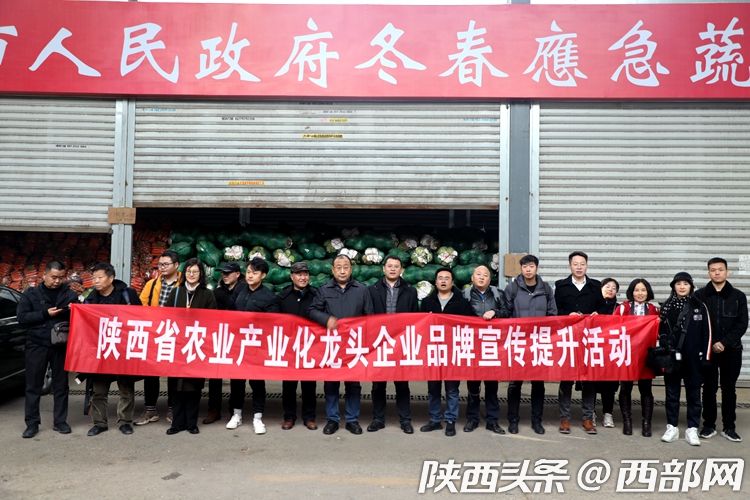 陕西省农业产业化龙头企业品牌宣传提升活动走进西部欣桥农产品物流中心