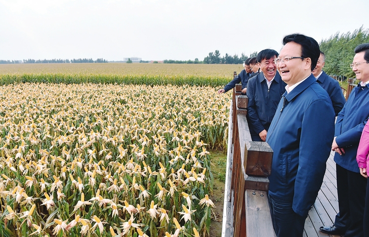吉林省舉辦2020中國農民豐收節系列活動