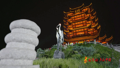 武汉超燃快闪现场，笑着笑着就哭了