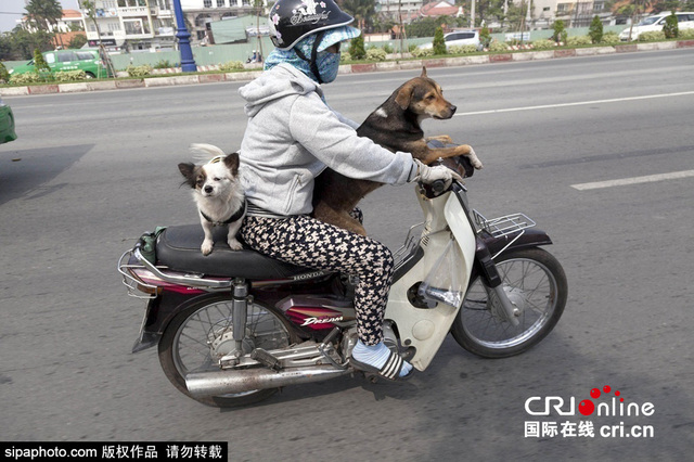 摩托车王国：越南人的日常生活