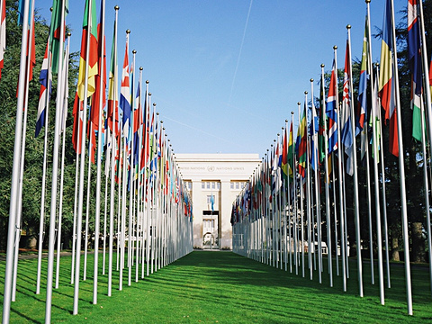 针对非洲人后裔的种族歧视和警察暴力问题在人权理事会受到普遍关注