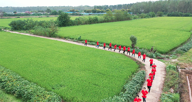 江夏金口：农民田埂马拉松跑出丰收喜悦