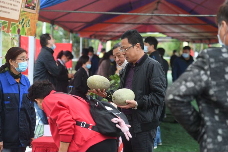 江夏金口：农民田埂马拉松跑出丰收喜悦