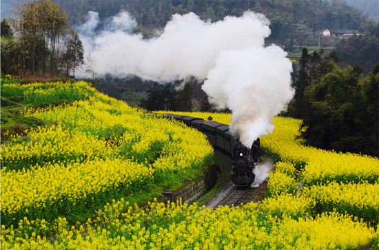 急稿【CRI專稿 列表】樂山來渝推介春季旅遊 邀重慶市民樂遊樂山