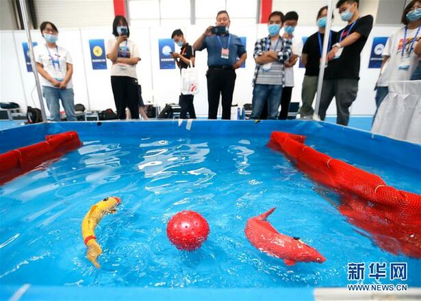 2020青岛国际海洋科技展览会开幕