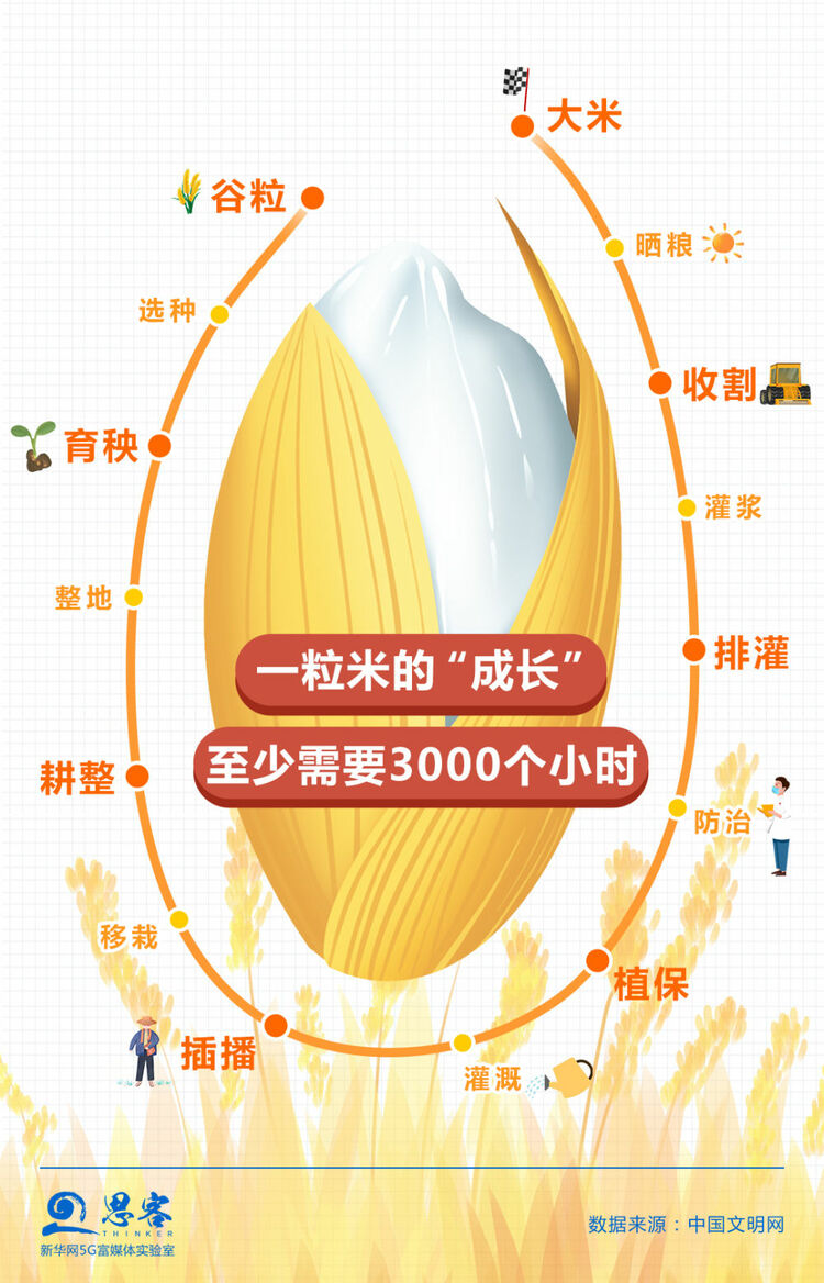 特殊之年，夏粮十七连丰、秋粮丰收在望……背后什么在起作用？