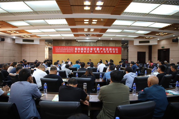 第四屆河北省甘薯産業發展論壇在新樂舉辦
