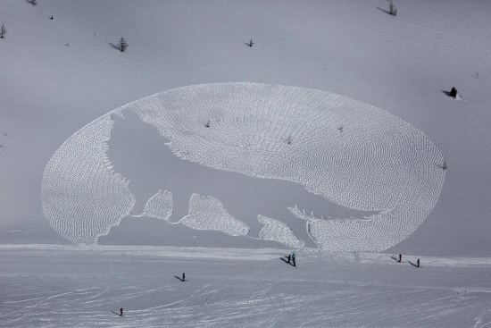 艺术家用脚步“画出”狼嚎图 画面壮观瑰丽