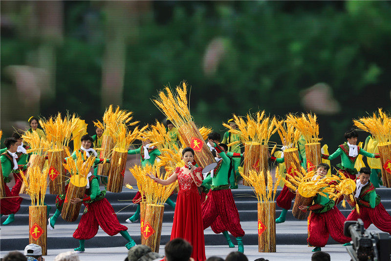 He'nan Province Holds the 2020 Chinese Peasants' Harvest Festival in Xijiangzhai Village, Xiangfu District, Kaifeng City_fororder_55