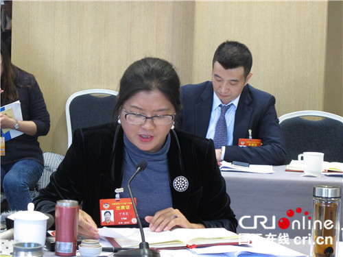 全国政协委员丁秀花是云南省怒江傈僳族自治州副州长.