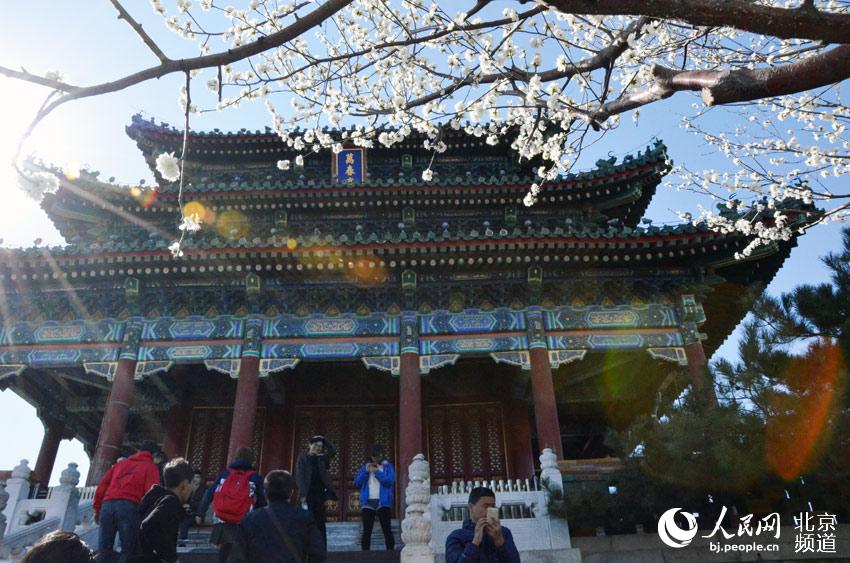 高清组图：北京中轴线上的春天