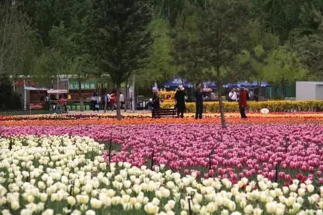 第九届中国花卉博览会五大辅展区